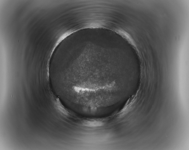 X0000087041226200704181208