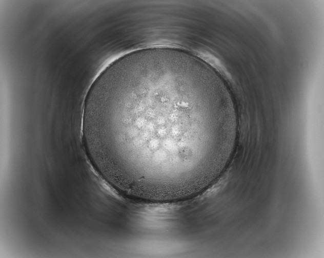 X0000087041228200704181208