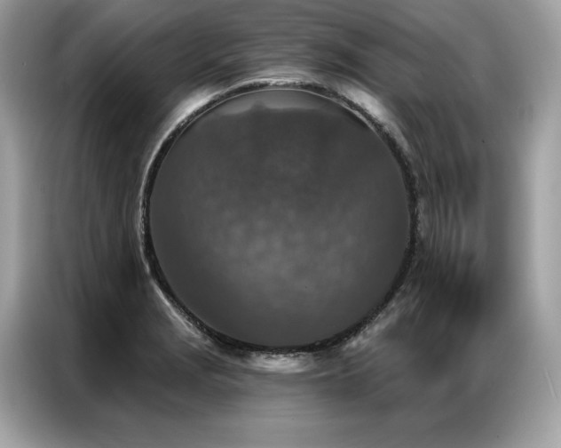 X0000087041229200704181208