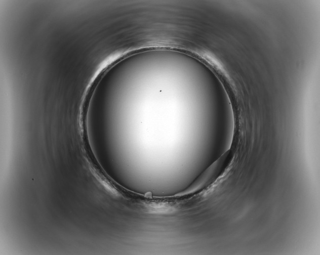 X0000087041230200704181208