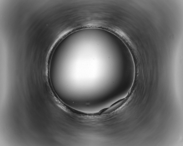 X0000087041232200704181208