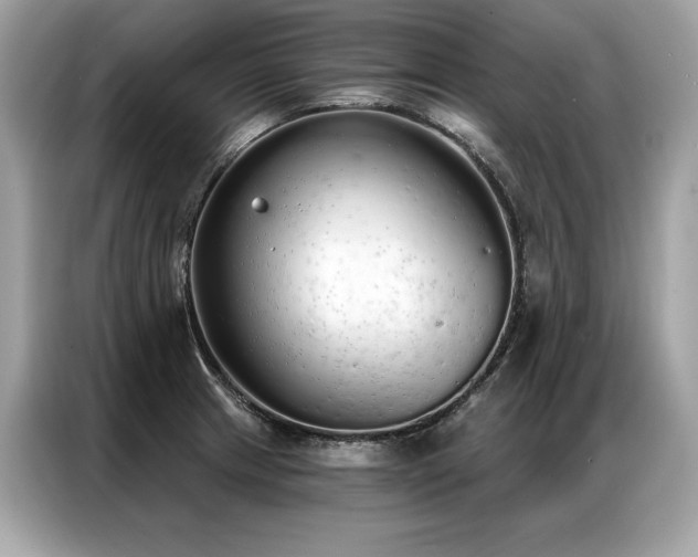 X0000087041233200704181208