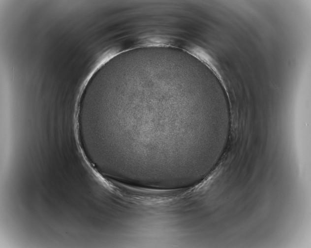 X0000087041235200704181208