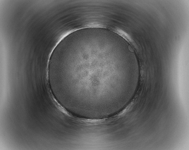 X0000087041236200704181208