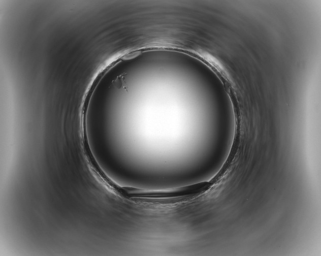 X0000087041238200704181209