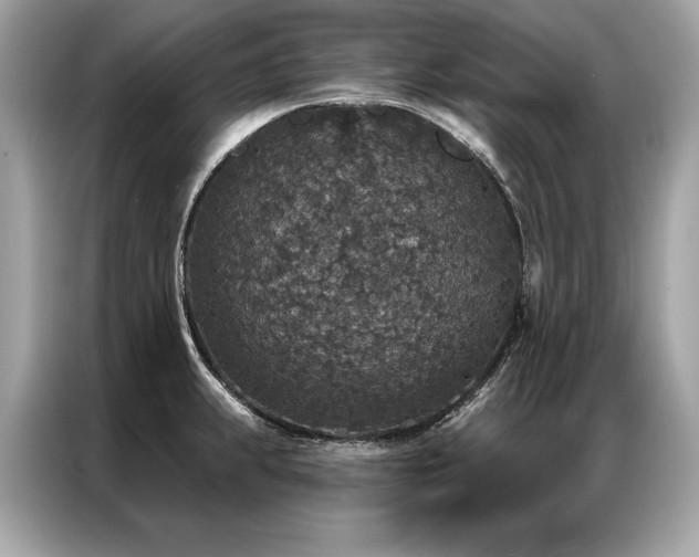 X0000087041239200704181209