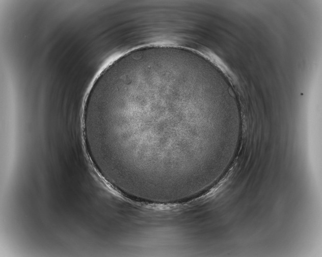X0000087041240200704181209
