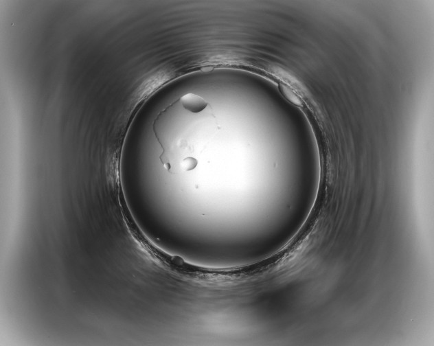X0000087041241200704181209