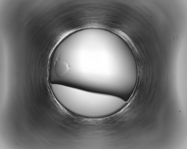 X0000087041244200704181209
