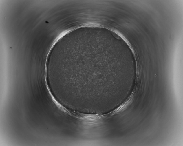 X0000087041245200704181209