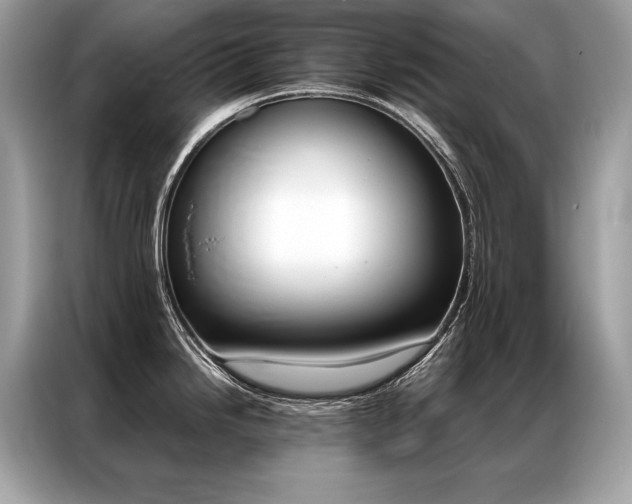 X0000087041246200704181209