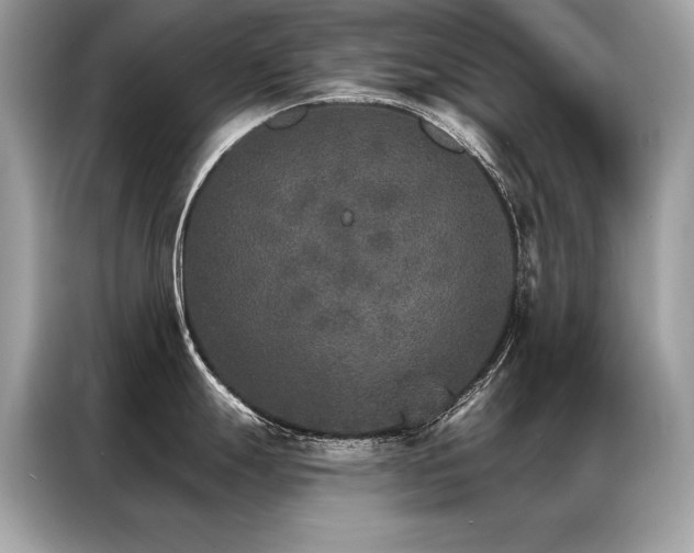 X0000087041247200704181209