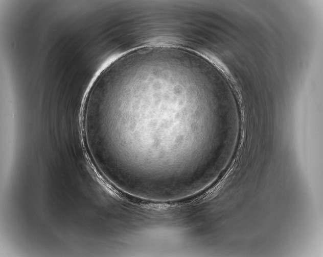 X0000087041248200704181209