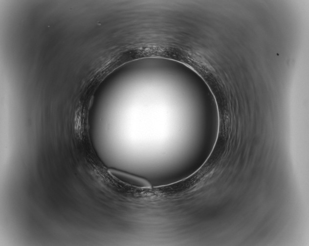 X0000087041250200704181208