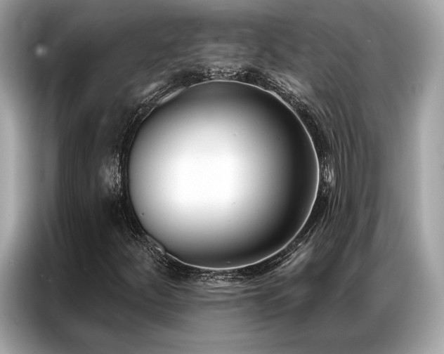 X0000087041252200704181208