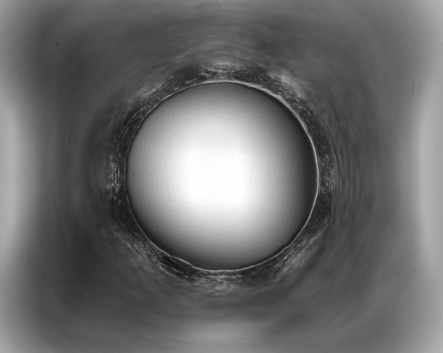X0000087041253200704181208