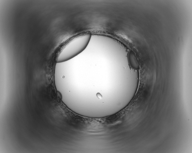 X0000087041255200704181208