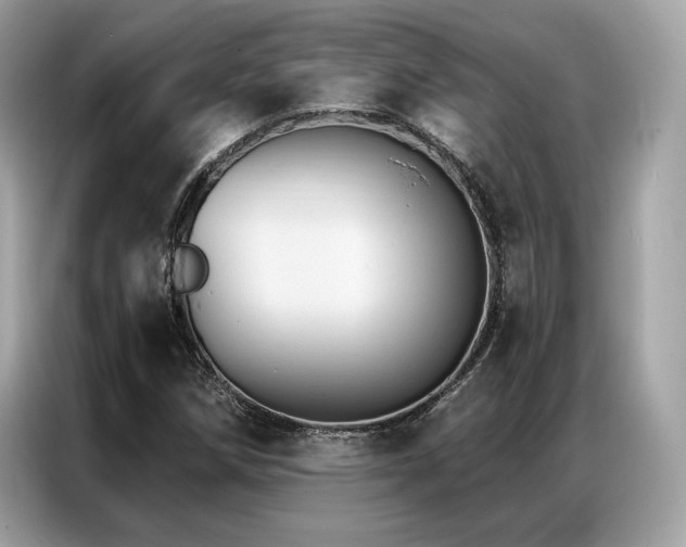X0000087041258200704181208