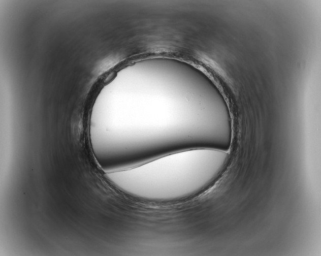 X0000087041261200704181208