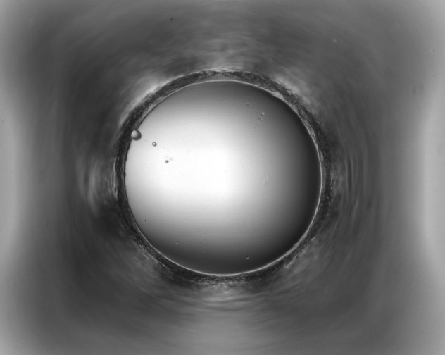 X0000087041262200704181208
