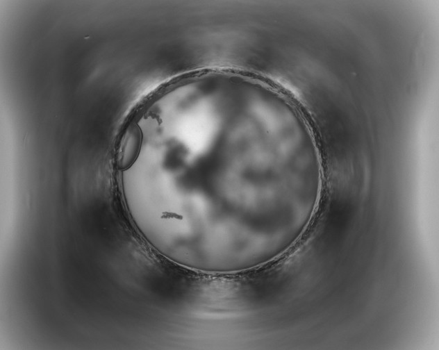 X0000087041263200704181208