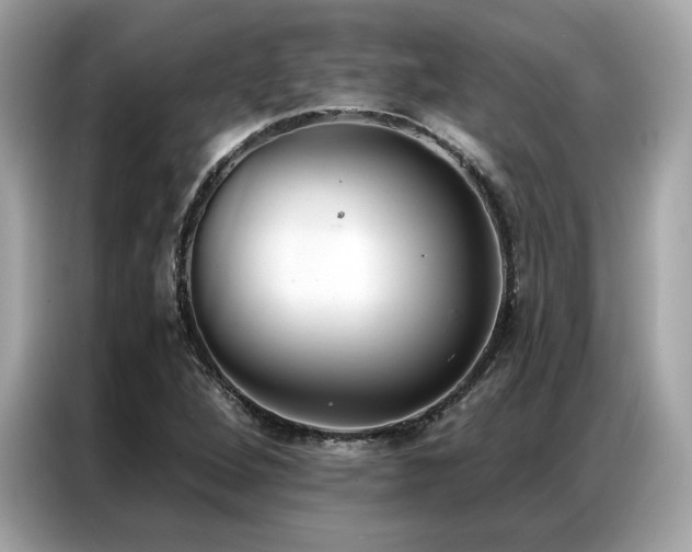 X0000087041264200704181208