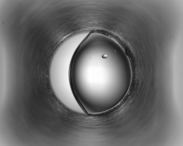 X0000087041265200704181208