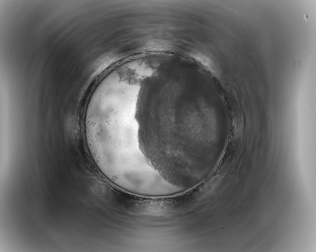 X0000087041266200704181208