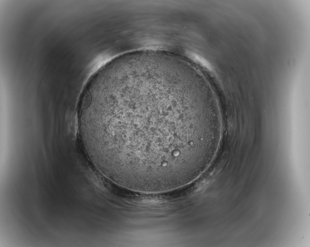 X0000087041267200704181208