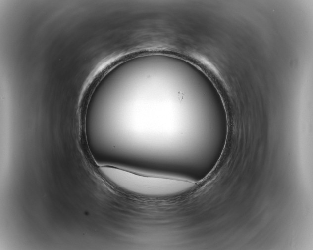 X0000087041270200704181208