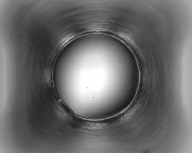 X0000087041273200704181208