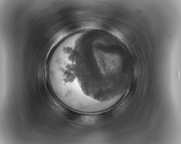 X0000087041274200704181208