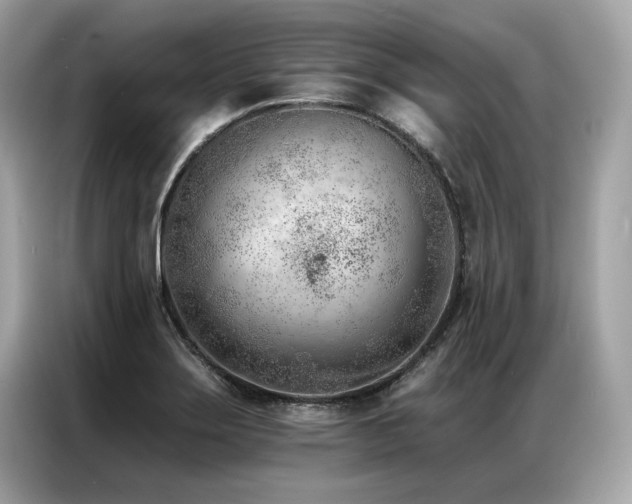 X0000087041275200704181208