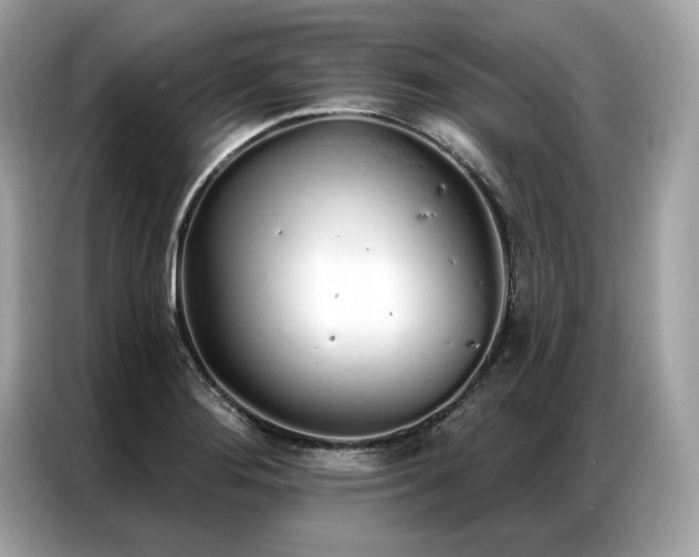 X0000087041276200704181208