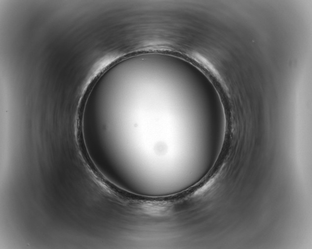 X0000087041277200704181208