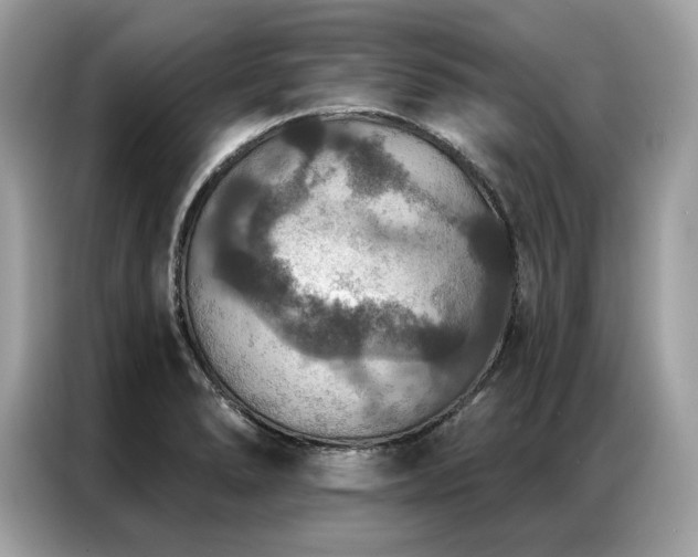 X0000087041278200704181208