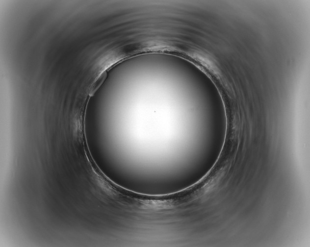 X0000087041281200704181208