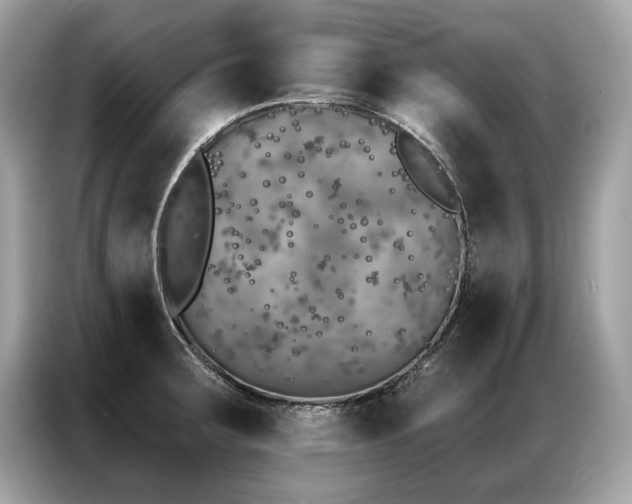 X0000087041283200704181208