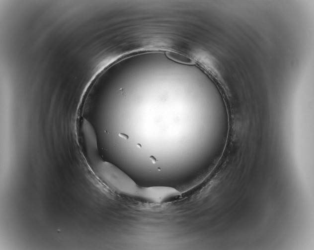 X0000087041284200704181207