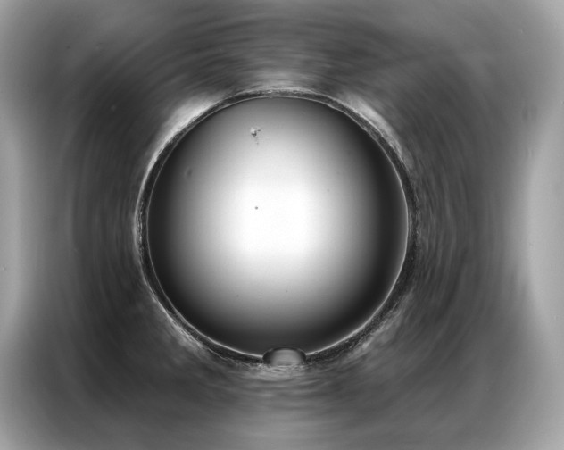 X0000087041285200704181207