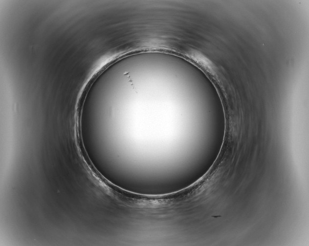X0000087041286200704181207