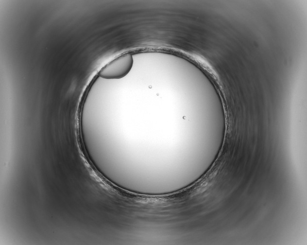X0000087041287200704181207