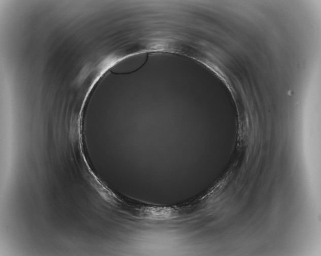 X0000087041291200704181207