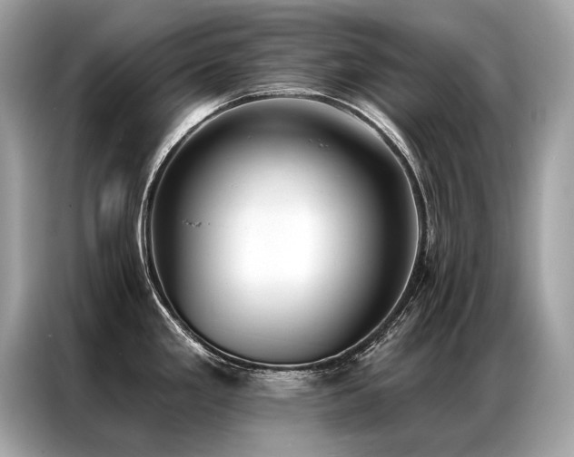 X0000087041293200704181207