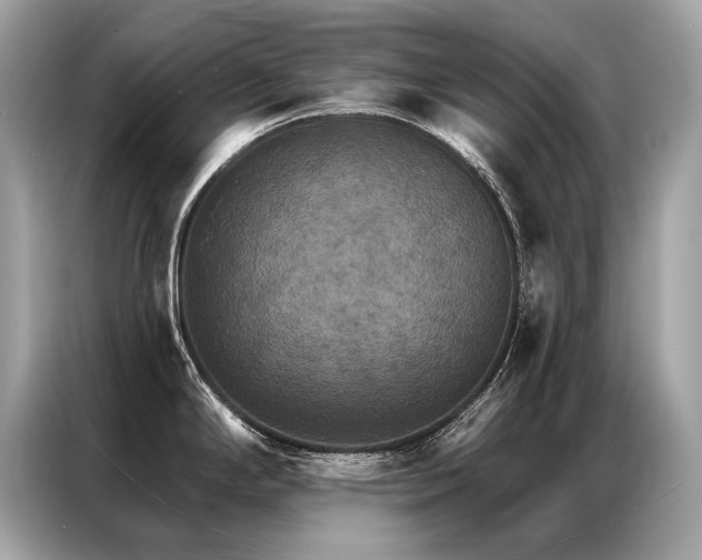 X0000087041294200704181207