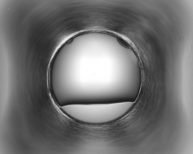 X0000087041295200704181207
