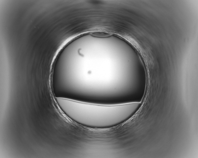 X0000087041296200704181207