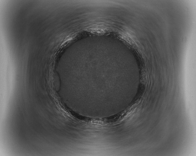 X0000087041297200704181207
