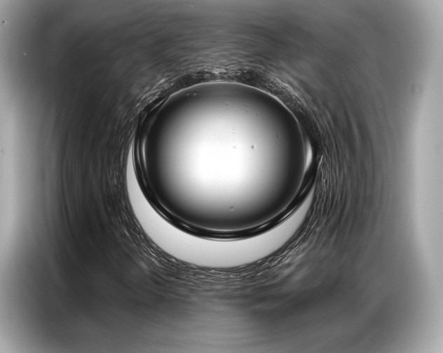 X0000087041298200704181207