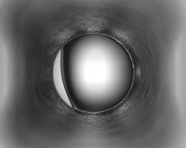 X0000087041300200704181207